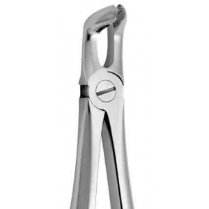 CORICAMA Tooth Forceps English Pattern #79