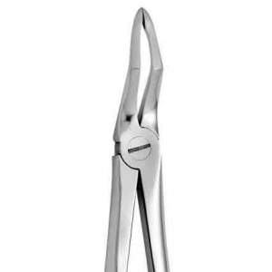 CORICAMA Tooth Forceps English Pattern #189