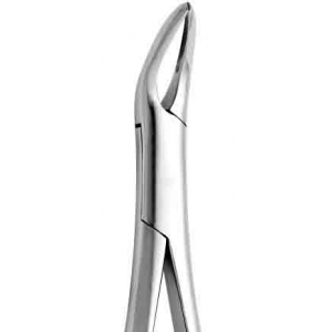 CORICAMA Tooth Forceps English Pattern Witzel Upper