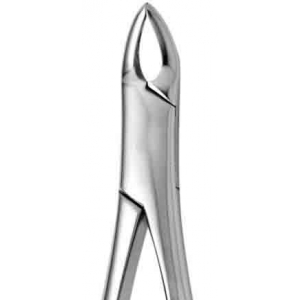 CORICAMA Tooth Forceps American Pattern #150 Cryer