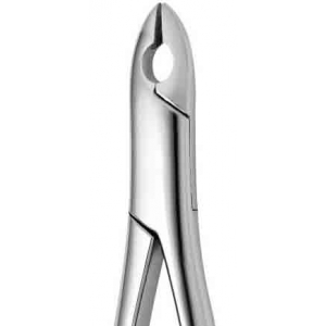 CORICAMA Tooth Forceps American Pattern #99