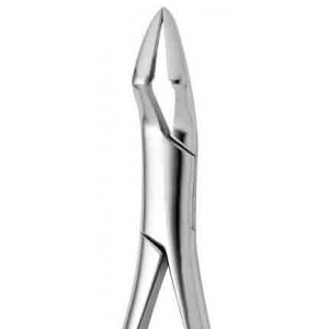 CORICAMA Tooth Forceps American Pattern #32 Parmly