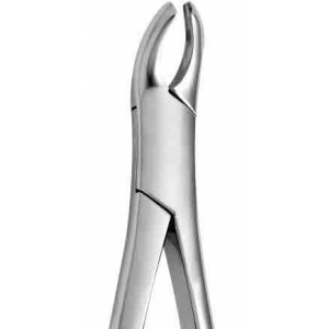 CORICAMA Tooth Forceps American Pattern #18-L Harris