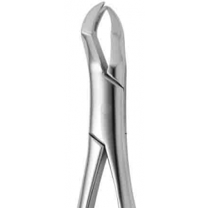 CORICAMA Tooth Forceps American Pattern #88-R Nevius