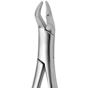 CORICAMA Tooth Forceps American Pattern #210